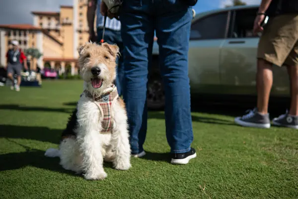 MODA Miami at the Biltmore Hotel in Miami, FL on February 28, 2026.