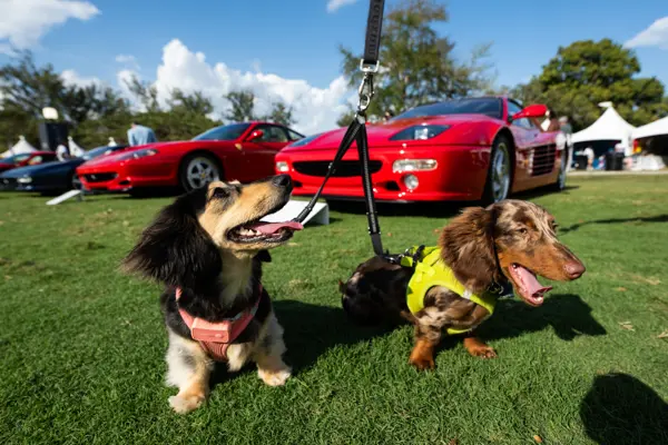 MODA Miami at the Biltmore Hotel in Miami, FL on February 28, 2026.